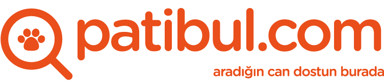 Patibul.com