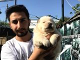 Kar Beyaz Bebeklerimiz  Teslime Hazır