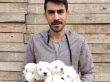 Maltesse Terrier Yavrularımız