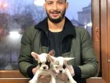 Ev Doğumlu A Kalite French Bulldog Bebeklerimiz