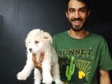 Maltipoo