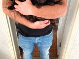 Toy Poodle