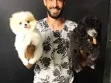Tedy Bear Pomerian Boo