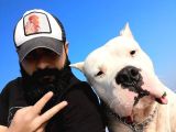 Dünya Şampiyonu Dogo Argentino Yavruları