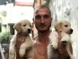 Golden Köpek Yavrusu