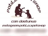 ✅Aşili Karneli̇ Hari̇ka Chi̇huahualar✅