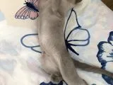 Güzel Çocuğumuza Yuva Arıyoruz