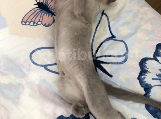 Güzel Çocuğumuza Yuva Arıyoruz görsel
