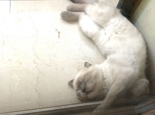 Güzel Çocuğumuza Yuva Arıyoruz görsel