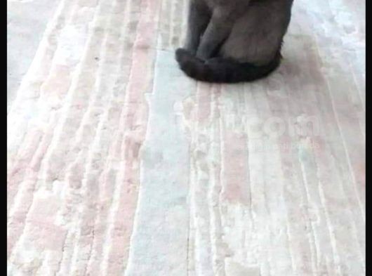 İstanbul Içi Uygun görsel