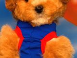 @Yavrupatiler Güvencesiyle Toy Poodle  Yavrularımız