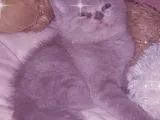 Bebeğimiz Yeni Ailesine Teslim Edilmek Üzere Hazırdır