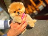Referanslarımız Ve Daha Fazlası Için Instagram Sayfamızı Ziyaret Edebilirsiniz
