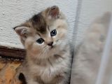 Bu Kadar Güzelini Gördünüz Mü?