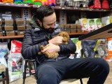 Bu Bebek Çok Başka Toy Poodle
