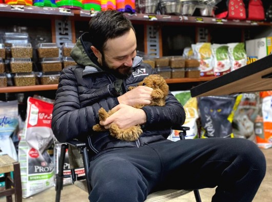 Bu Bebek Çok Başka Toy Poodle görsel