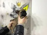 Pomeranian Boo Teddy Bear Yavrular