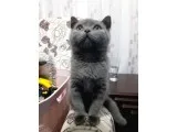 Sevimli Oyuncu Kızım