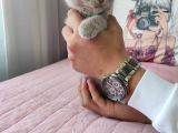 Di̇şi̇ Scottish Fold Li̇lac Yavru