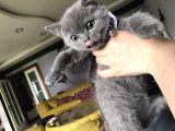 Minik Kızımız Yeni Yuvasına Hazır