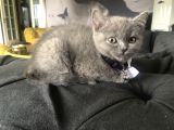 Minik Kızımız Yeni Yuvasına Hazır
