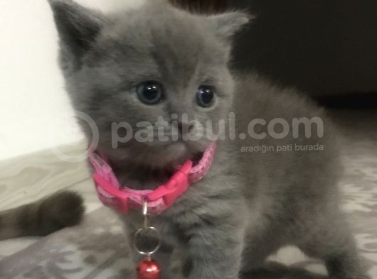 Güzeller Güzeli  Kızımız