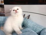 Yeni Yuvalarına Gitmeye Hazır Yavrularımız