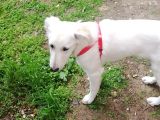 Kayıp !!!