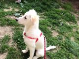 Kayıp !!!