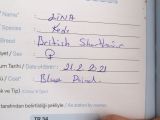 2 Aylık Britişh Shothair Blue Point