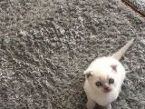 Boncuk Gözlü Bebeğimiz