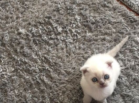 Boncuk Gözlü Bebeğimiz