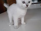 2 Aylık oğlum