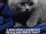 12 Nisan 2021