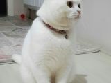 Paşa Yeni̇ Ai̇lesi̇ne Hazır