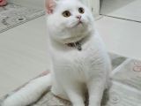 Paşa Yeni̇ Ai̇lesi̇ne Hazır