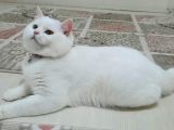 Paşa Yeni̇ Ai̇lesi̇ne Hazır