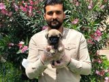 Muhteşem Pug Mops Bebekleri̇