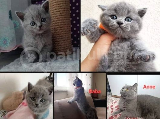 Cok Tatlı Ve Saglıklı Yavrumuz görsel
