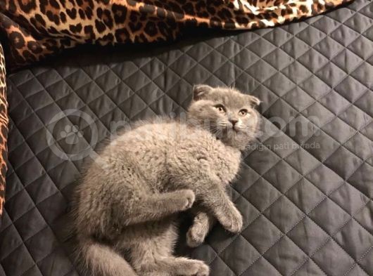 Ankara Kırıkkale görsel