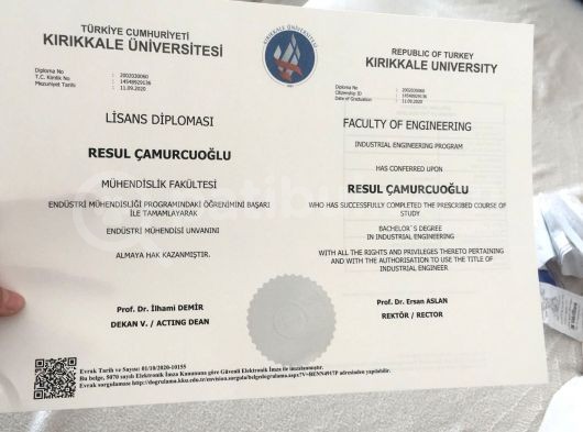Oyuncu Uslu Kedi görsel