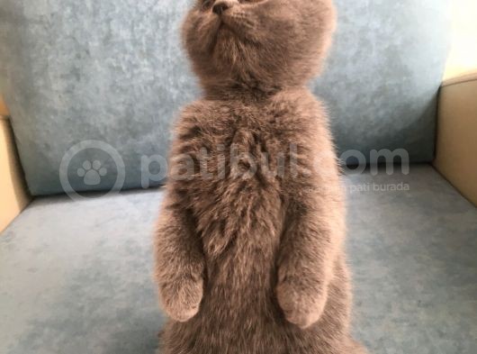 Anne Baba Yanından