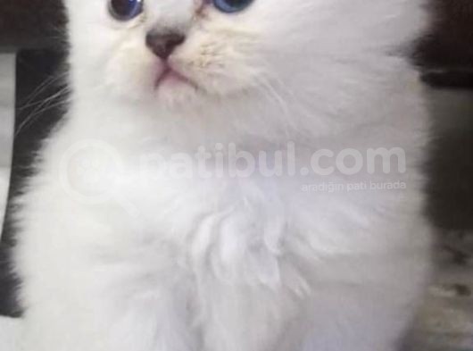 Minik Kızımız