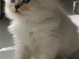 Minik Kızımız