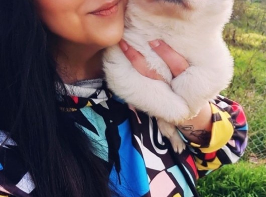 Chow Chow  Çin  Aslanı Yavrularımız görsel
