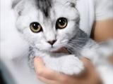 3 Aylık Erkek Aşıları Tam