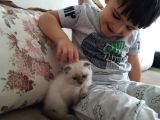 3,5 Aylık Kedimiz