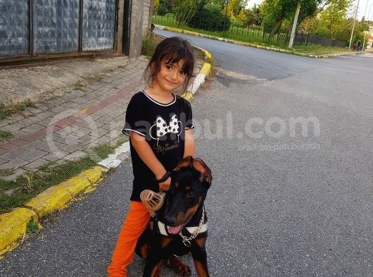 Şubat 15 Doğumlu Erkek Yavrumuz görsel