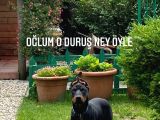 Şubat 15 Doğumlu Erkek Yavrumuz