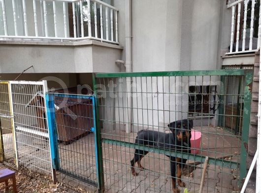 Acil 1 Yaşındaki Oğlumuza Yuva Arıyoruz